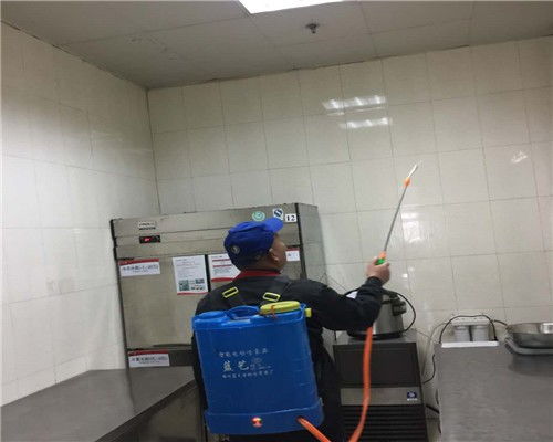 昌平区餐饮环境卫生解决方案 专业除鼠、高效杀蟑与集中消毒服务